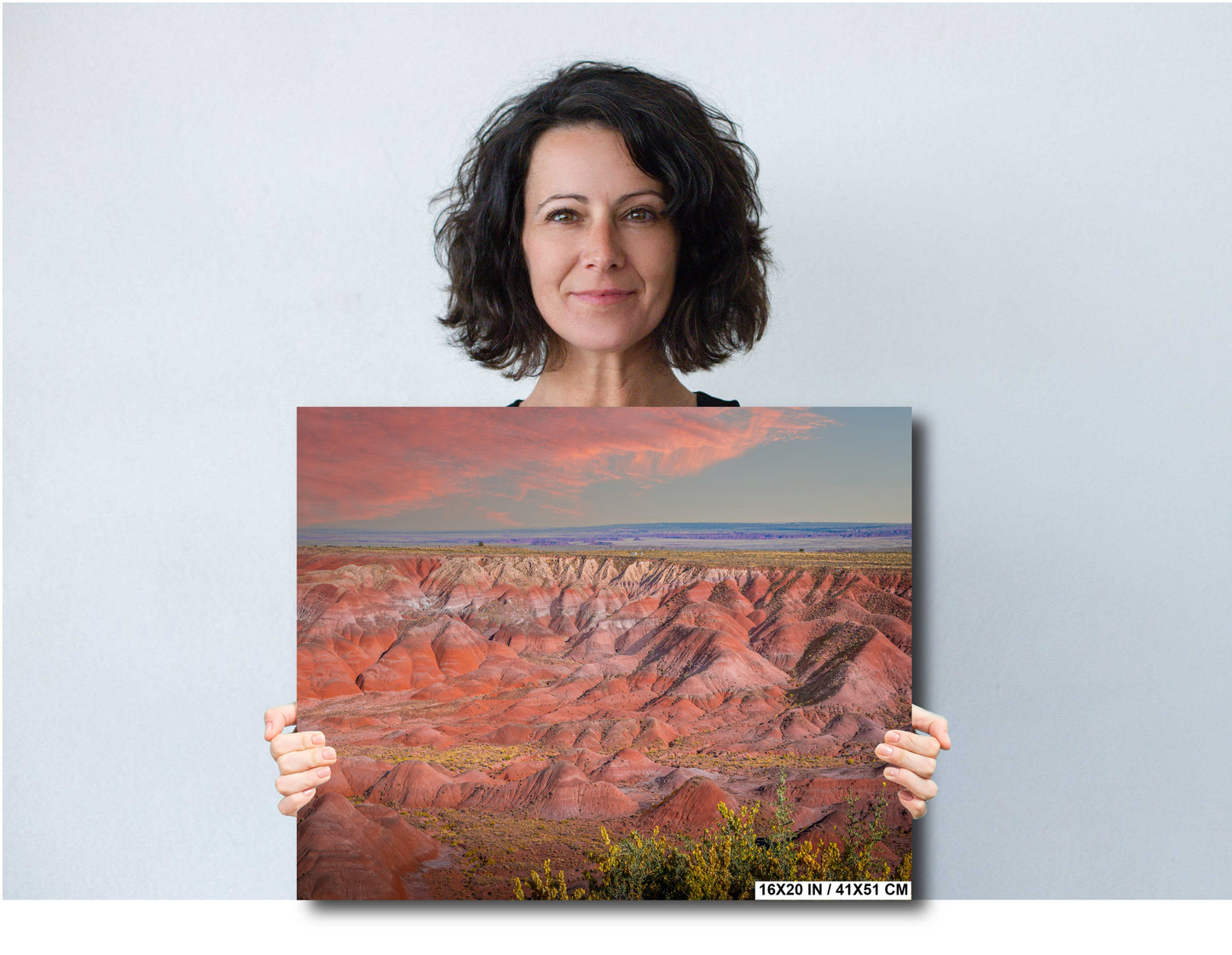 Nature's Color Palette: Painted Desert Arizona Wall Art Metal Acrylic Print Nature Landscape Photography