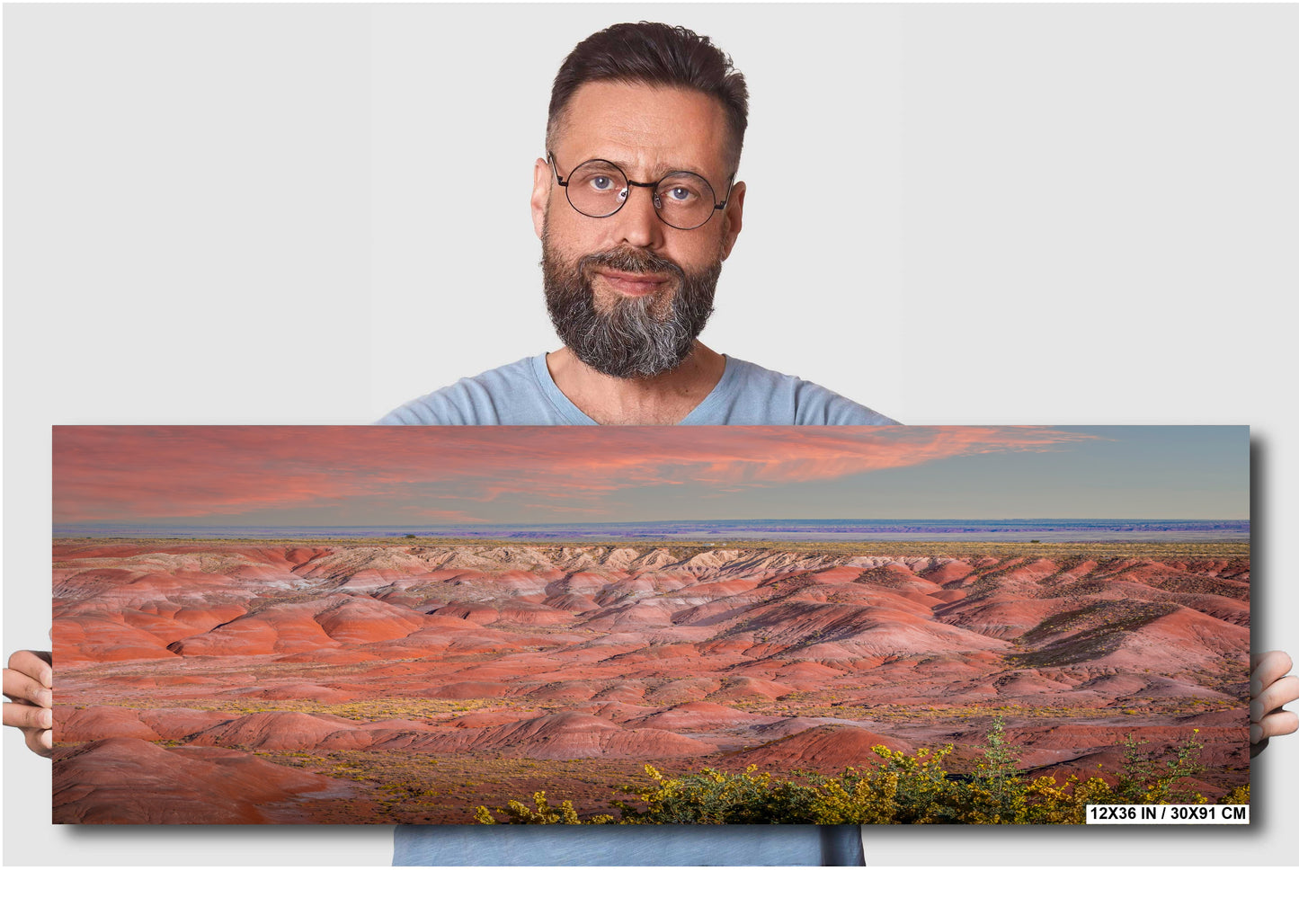 Nature's Color Palette: Painted Desert Arizona Wall Art Metal Acrylic Print Nature Landscape Photography