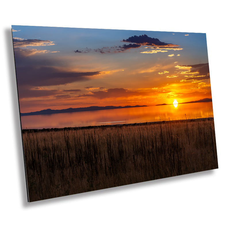 Chasing shops Sunsets Wall Art- Original Acrylic Painting and Framed Canvas Print for Aesthetic Decor, Available In Different Sizes