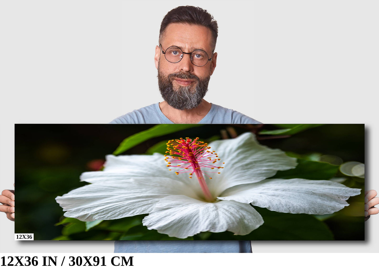 Enigmatic Blossoms: Hawaiian Hibiscus Flower Photography Tropical Home Decor Wall Art Print