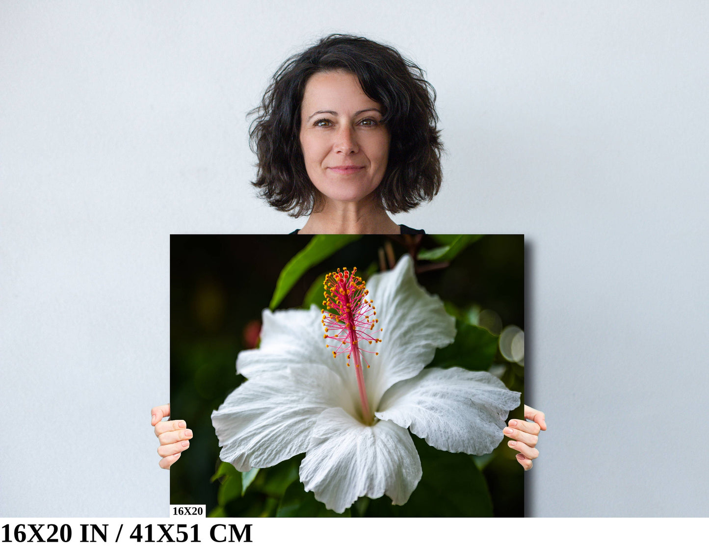 Enigmatic Blossoms: Hawaiian Hibiscus Flower Photography Tropical Home Decor Wall Art Print