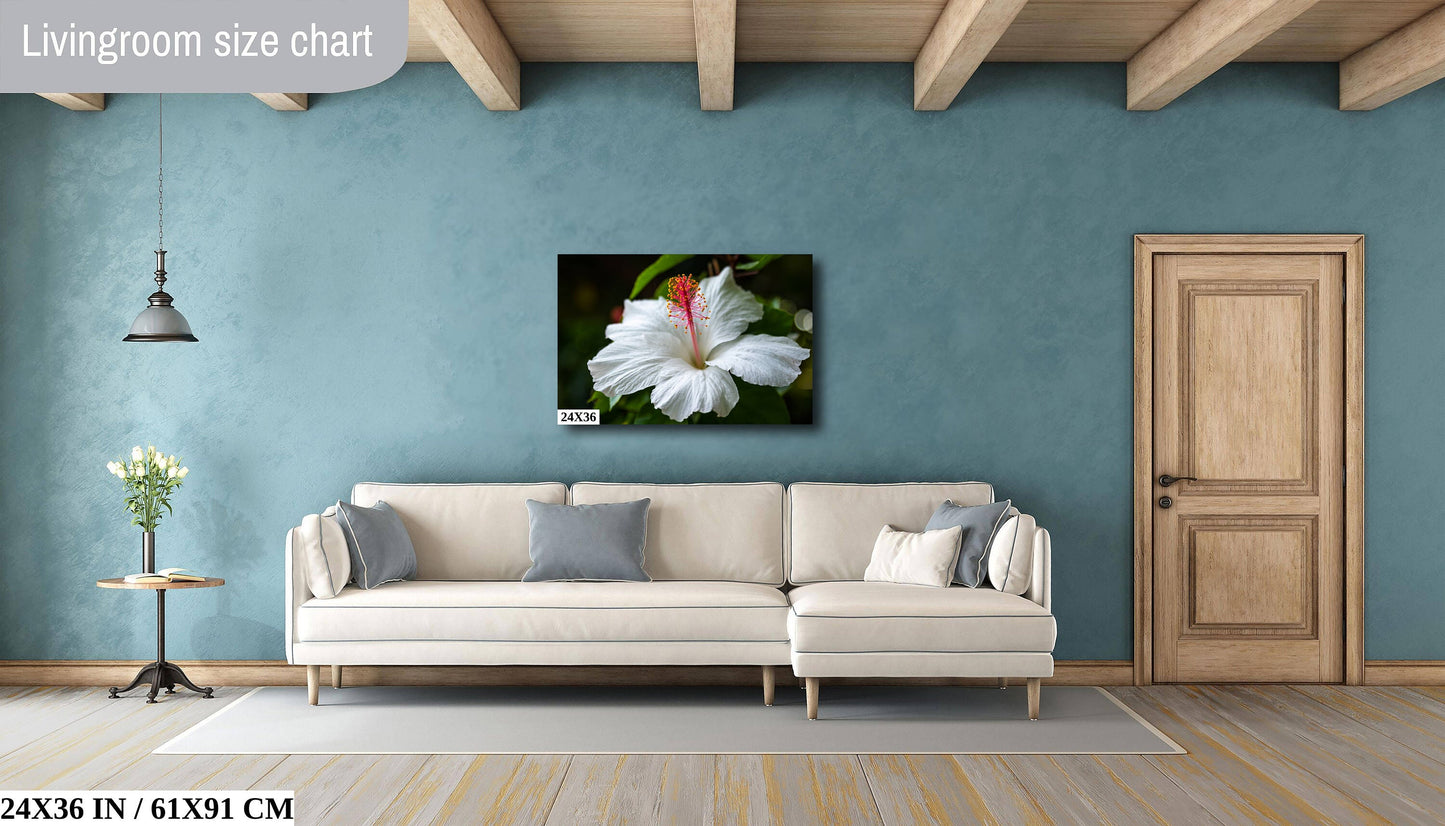 Enigmatic Blossoms: Hawaiian Hibiscus Flower Photography Tropical Home Decor Wall Art Print