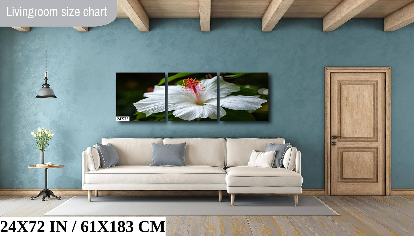 Enigmatic Blossoms: Hawaiian Hibiscus Flower Photography Tropical Home Decor Wall Art Print