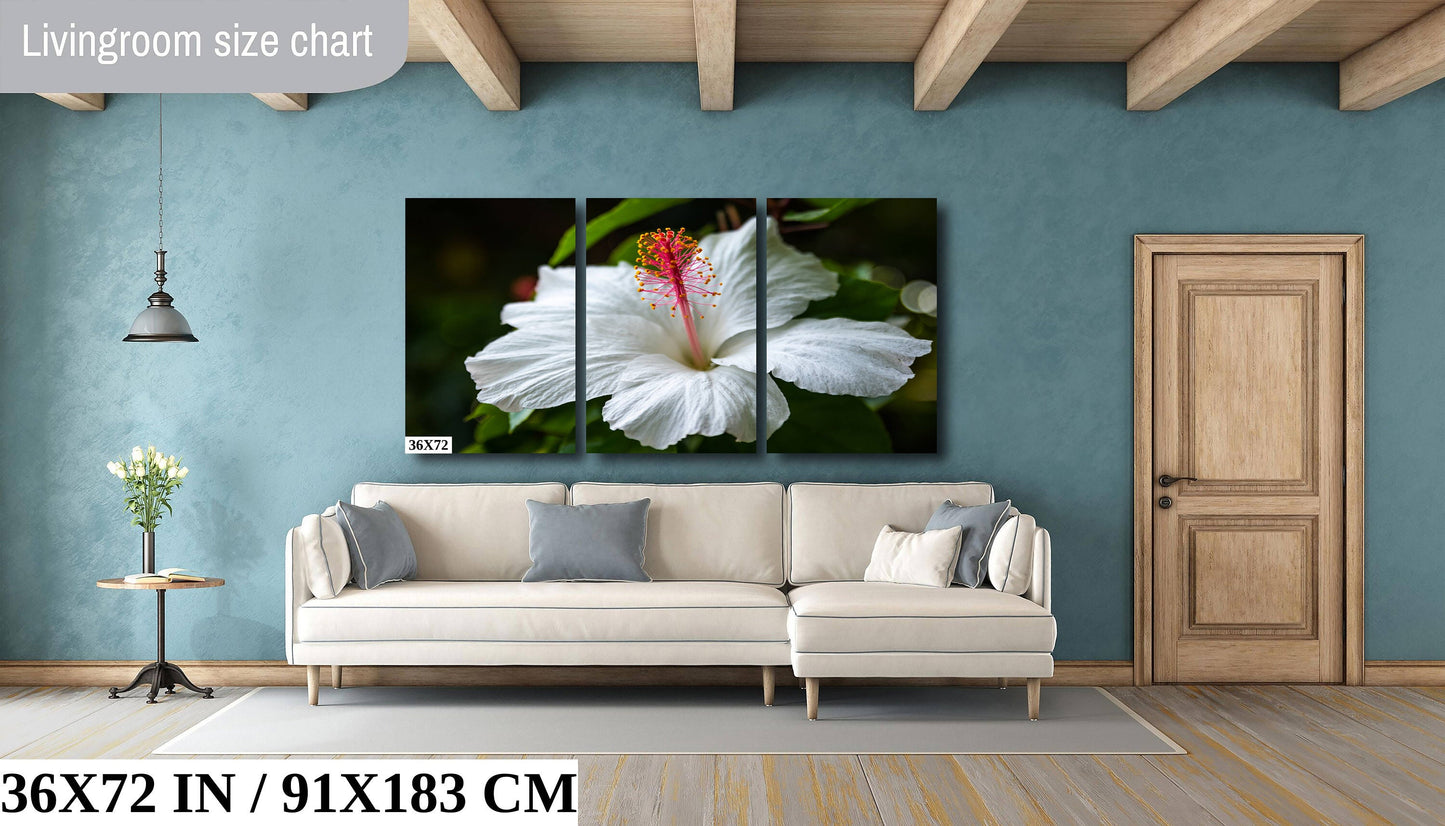 Enigmatic Blossoms: Hawaiian Hibiscus Flower Photography Tropical Home Decor Wall Art Print