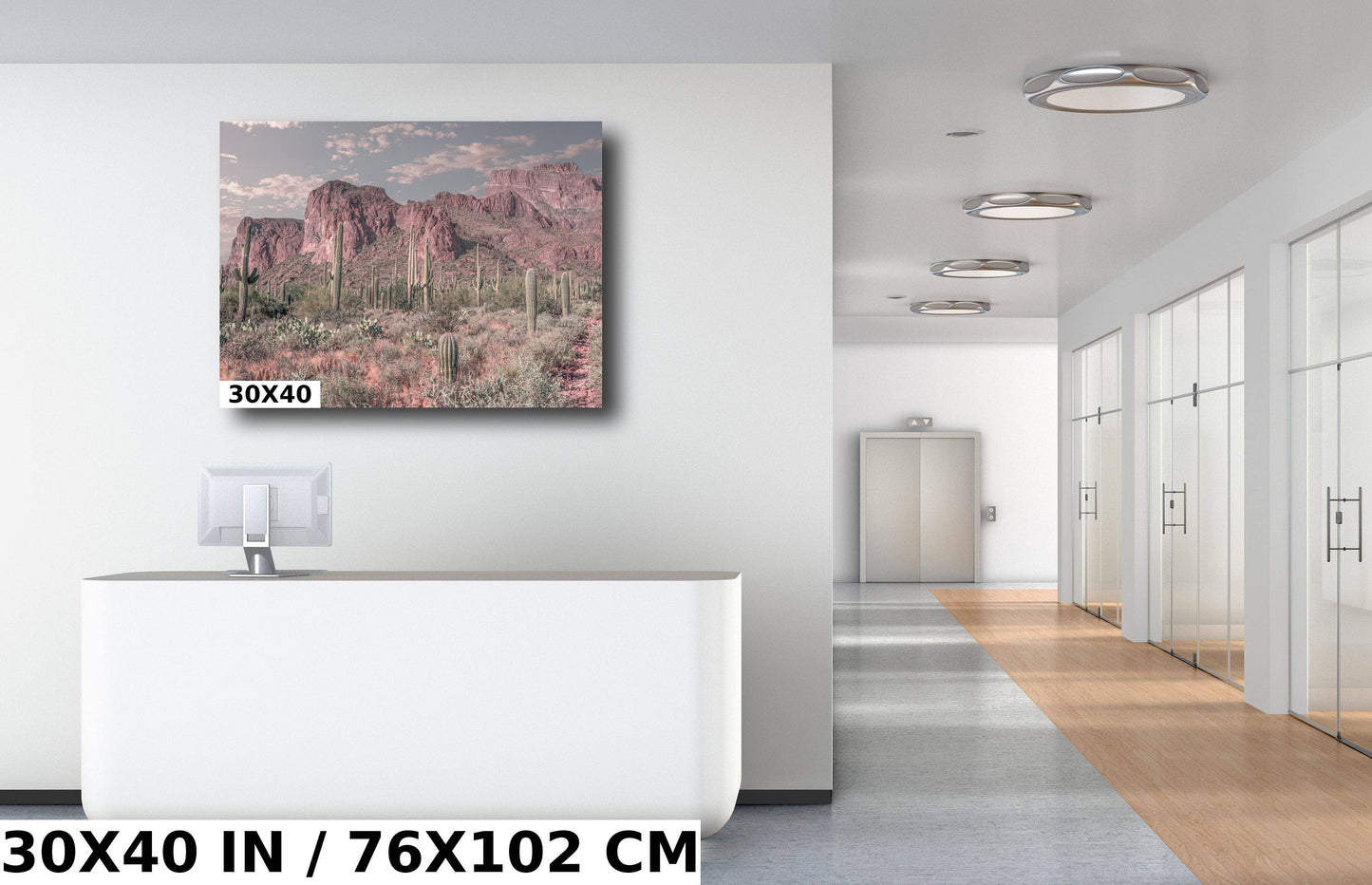 Enigmatic Wilderness Wonders: Superstition Mountains Wall Art Metal Acrylic Print Cactus Desert Arizona Photography