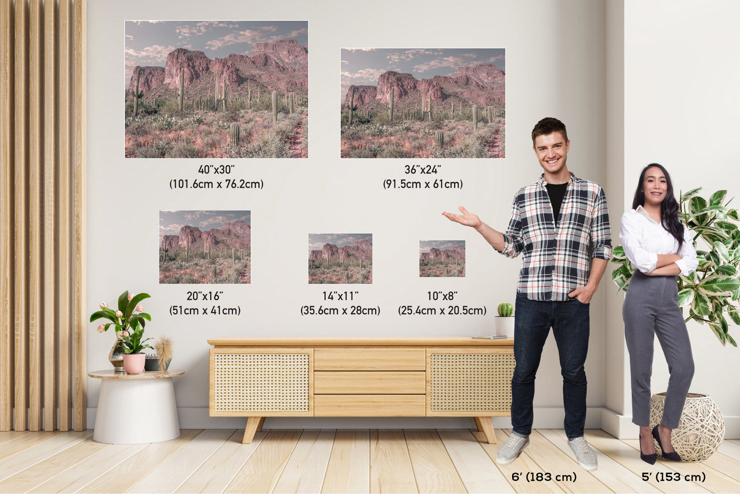 Enigmatic Wilderness Wonders: Superstition Mountains Wall Art Metal Acrylic Print Cactus Desert Arizona Photography