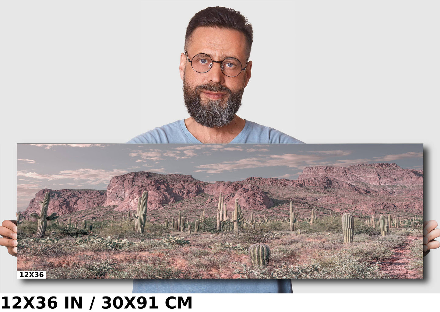 Enigmatic Wilderness Wonders: Superstition Mountains Wall Art Metal Acrylic Print Cactus Desert Arizona Photography
