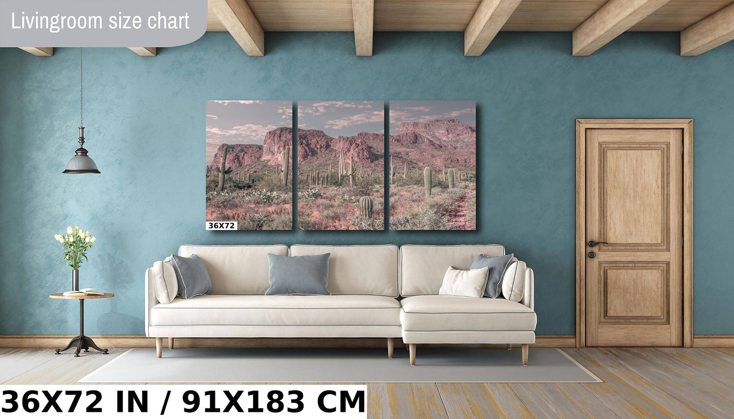 Enigmatic Wilderness Wonders: Superstition Mountains Wall Art Metal Acrylic Print Cactus Desert Arizona Photography
