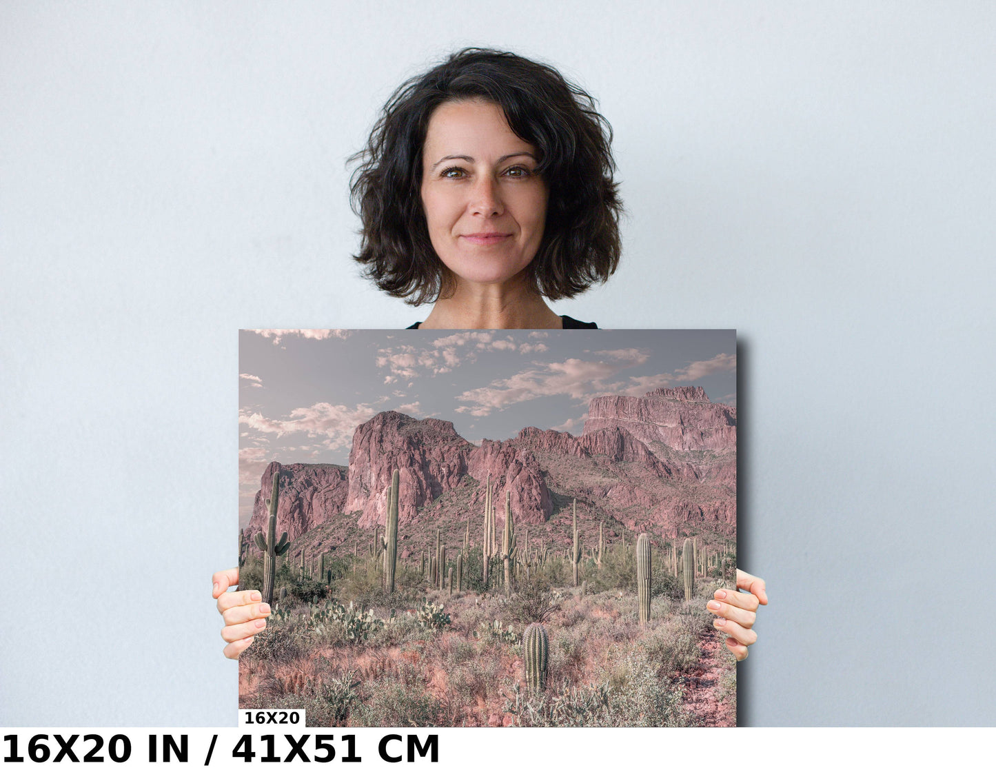 Enigmatic Wilderness Wonders: Superstition Mountains Wall Art Metal Acrylic Print Cactus Desert Arizona Photography