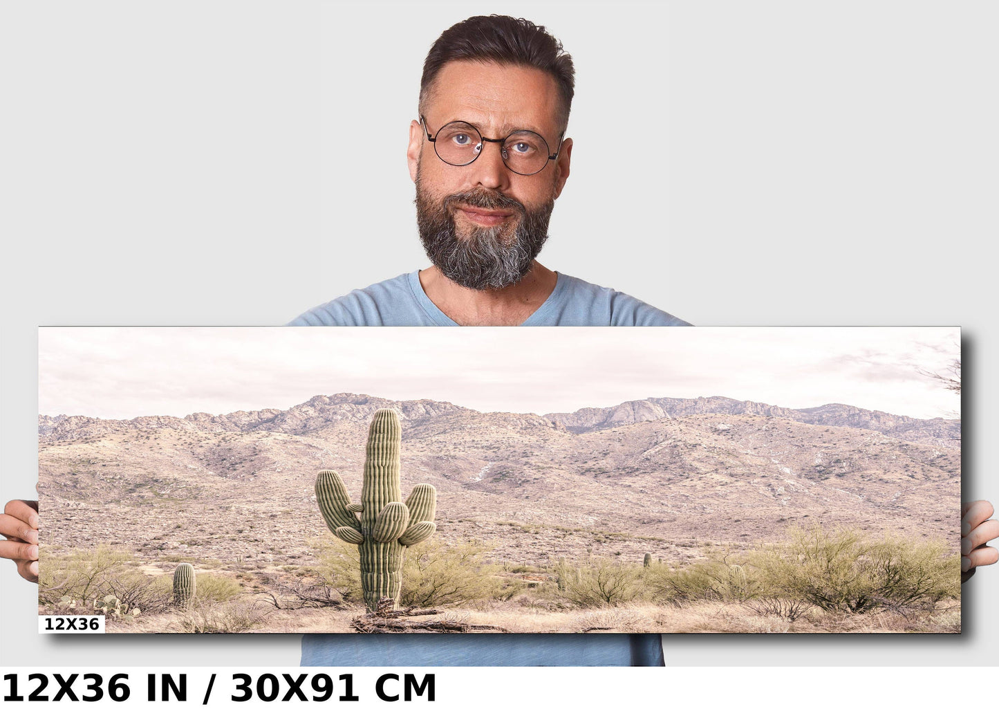 Eternal Desert Solitude: Saguaro Cactus Arizona Wall Art Photography Southwestern Cactus Metal Aluminum Print