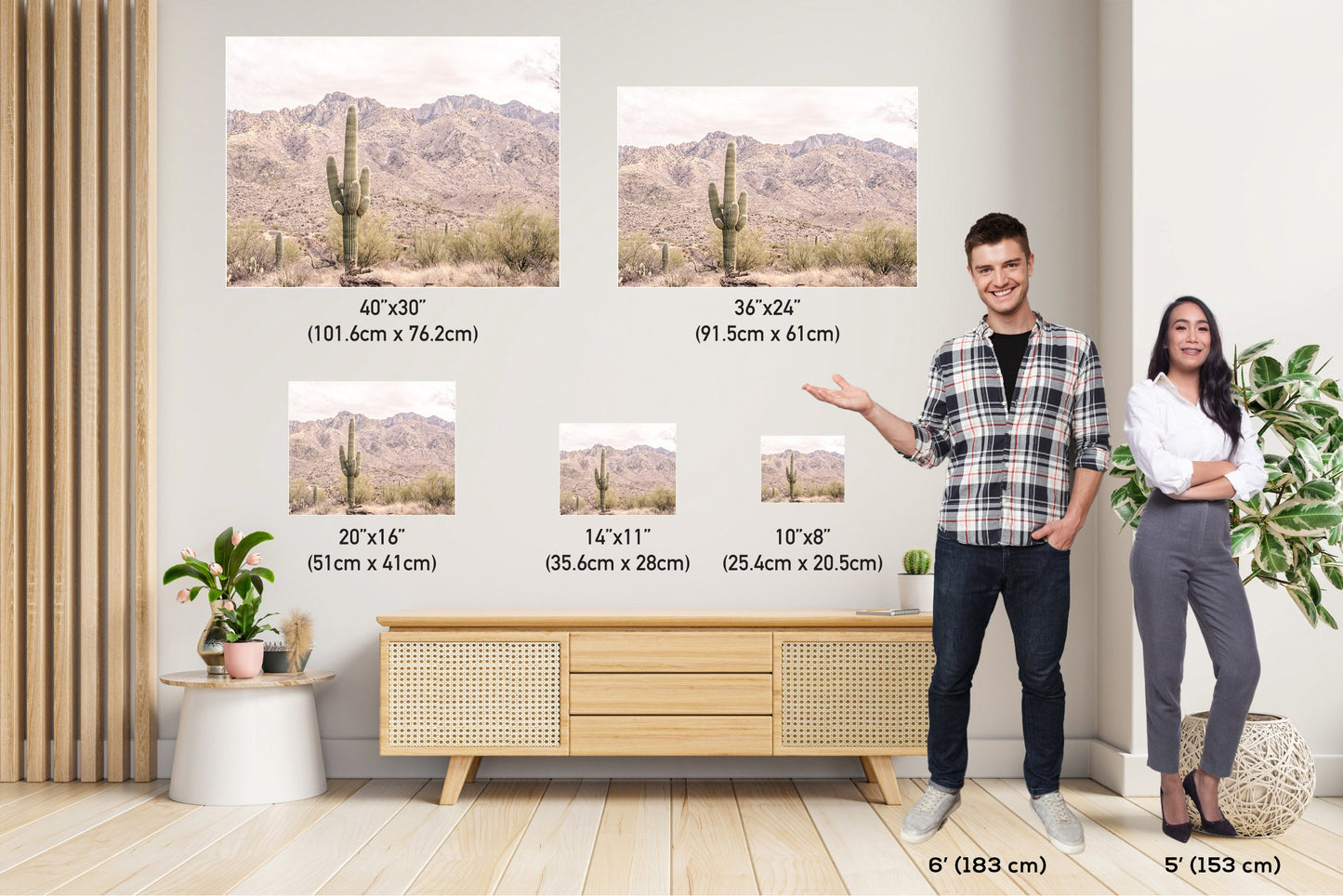 Eternal Desert Solitude: Saguaro Cactus Arizona Wall Art Photography Southwestern Cactus Metal Aluminum Print