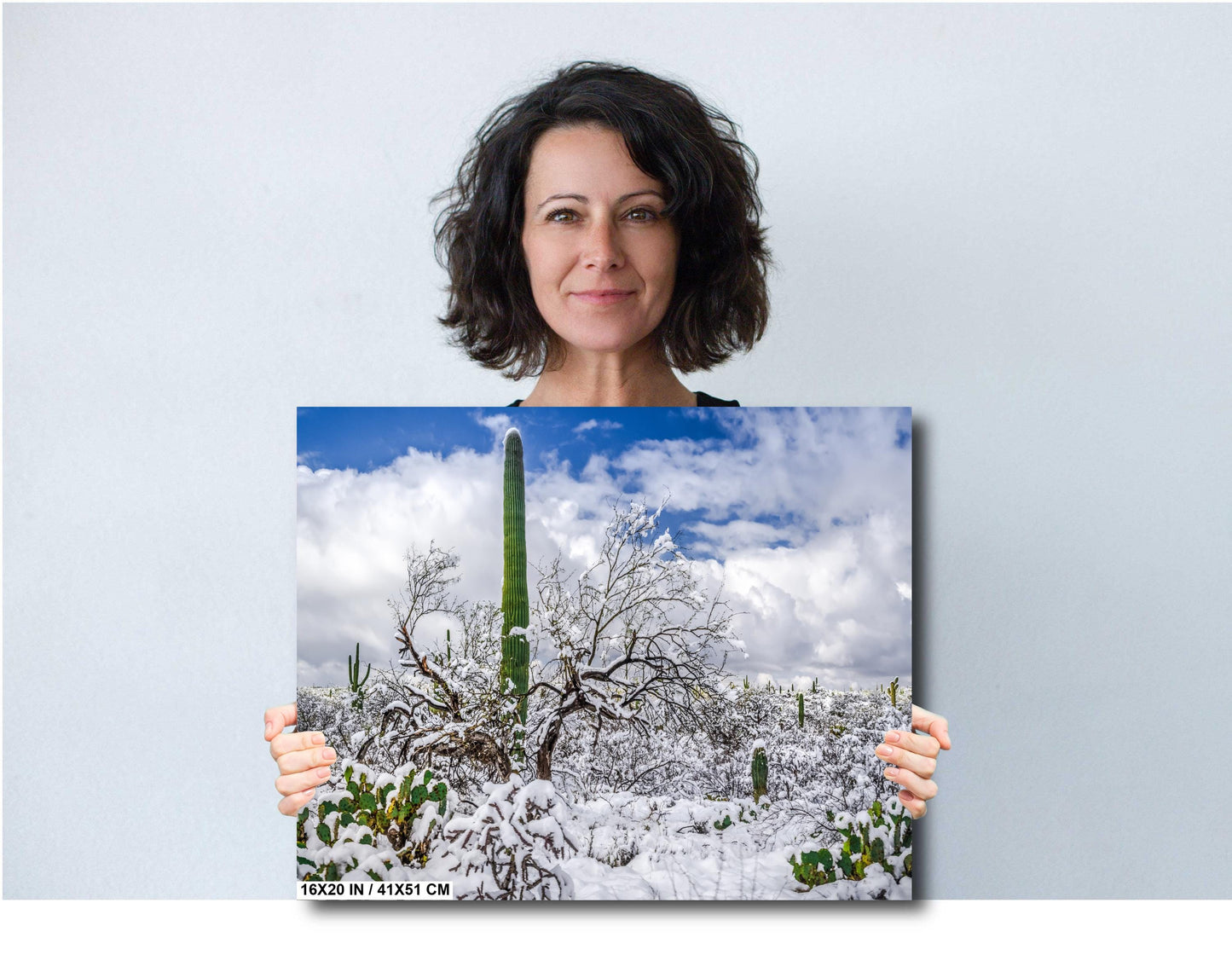 Saguaro Standing Tall in Winter’s Embrace: Saguaro National Park Print Wall Art Tucson Snow Desert Photography Aluminum/Acrylic/Metal/Canvas