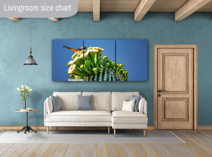 Arizona Desert Songbird: Hooded Oriole on Saguaro Cactus Flower Top Wall Art Print Aluminum/Acrylic/Metal/Canvas Bird Nature Photography