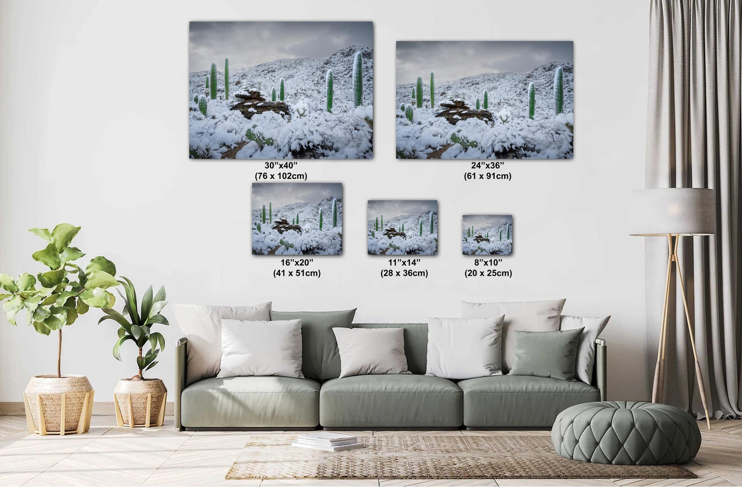 Snow-covered saguaro cacti in Arizona&#39;s desert, showcasing a rare winter scene with mountains in the background.