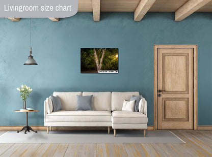 Oregon Forest Sunburst V-Trunk Tree Wall Art Photography Print, Woodland Light Rays Nature Canvas Wall Art, Pacific Northwest Metal Fine Art