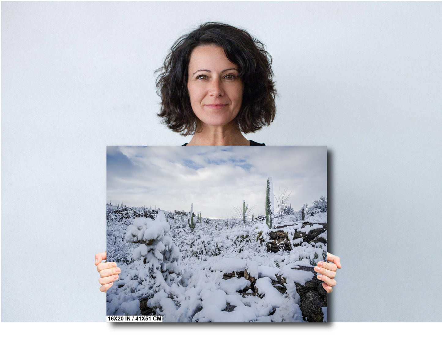 Cacti in the Cold: Snowfall at Saguaro National Park Park Print Wall Art Tucson Winter Snow Desert Photography Aluminum/Acrylic/Metal/Canvas