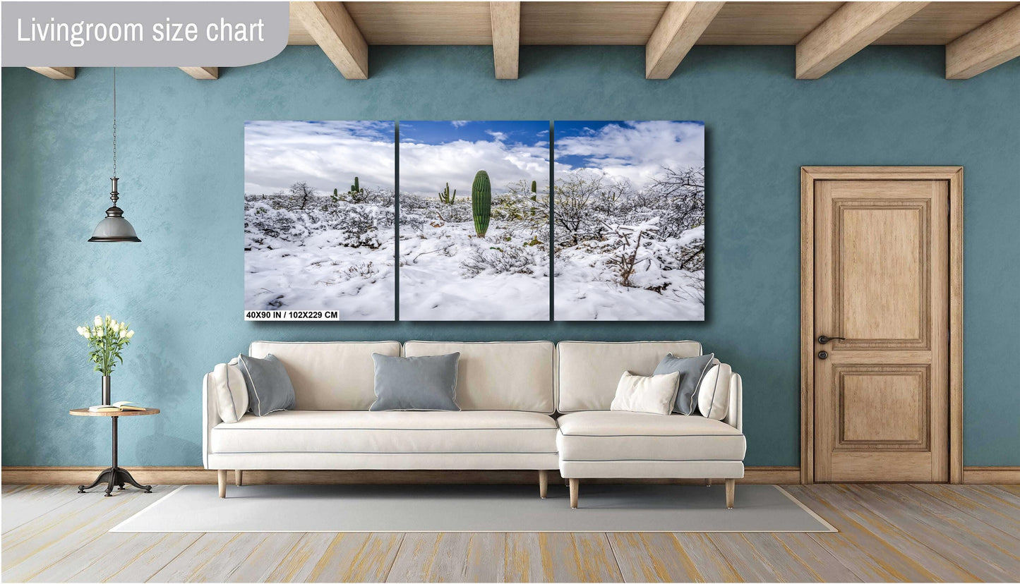 Winter’s Charm in the Desert: Saguaro National Park Print Wall Art Tucson Winter Snow Desert Photography Aluminum/Acrylic/Metal/Canvas