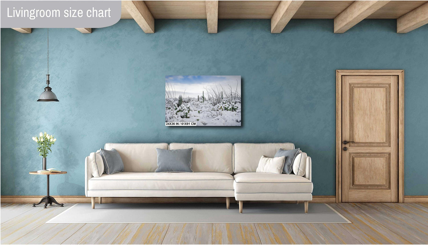 Snow-Tipped Peaks and Cactus Heights: Snow in Saguaro National Park Tucson Arizona Print Wall Art Photography Aluminum/Acrylic/Metal/Canvas