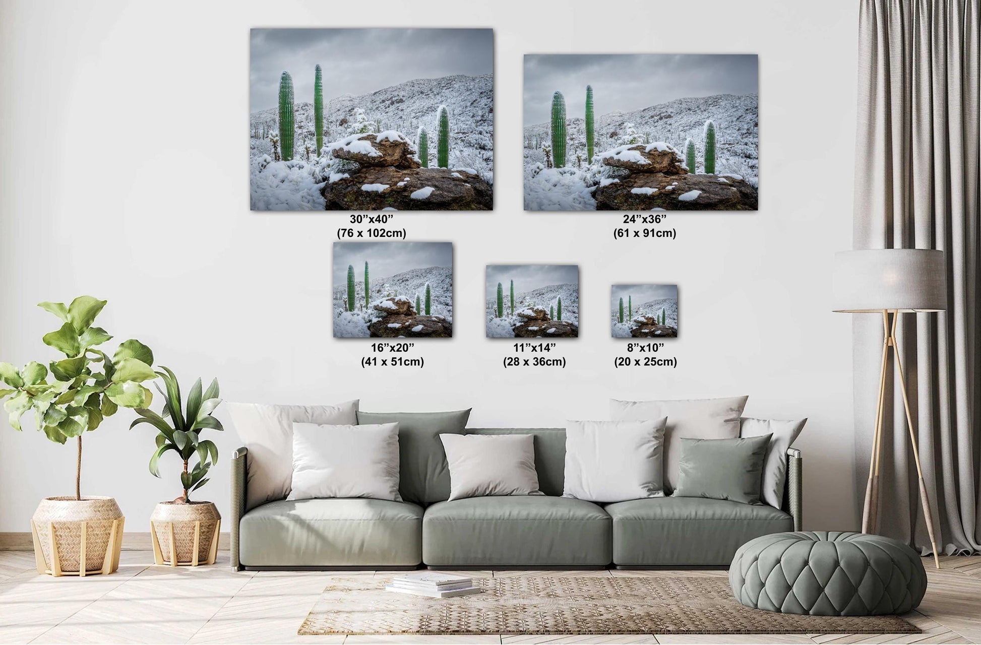 Snow-covered saguaro cacti in Saguaro National Park in Arizona surrounded by snowy desert hills and rocks.