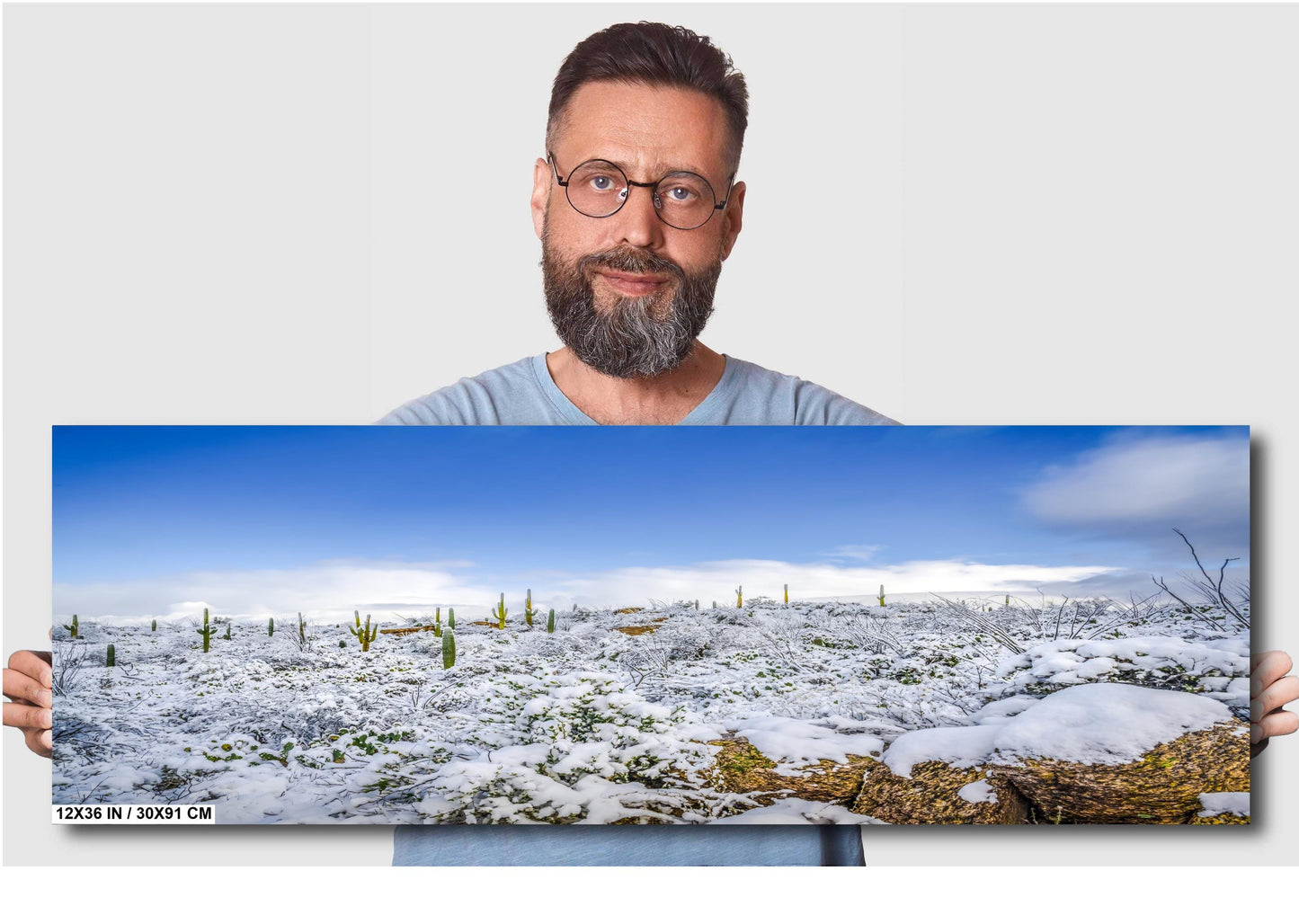 Desert Frost: Winter at Saguaro National Park Tucson Arizona Print Wall Art Winter Snow Photography Aluminum/Acrylic/Metal/Canvas Home Decor