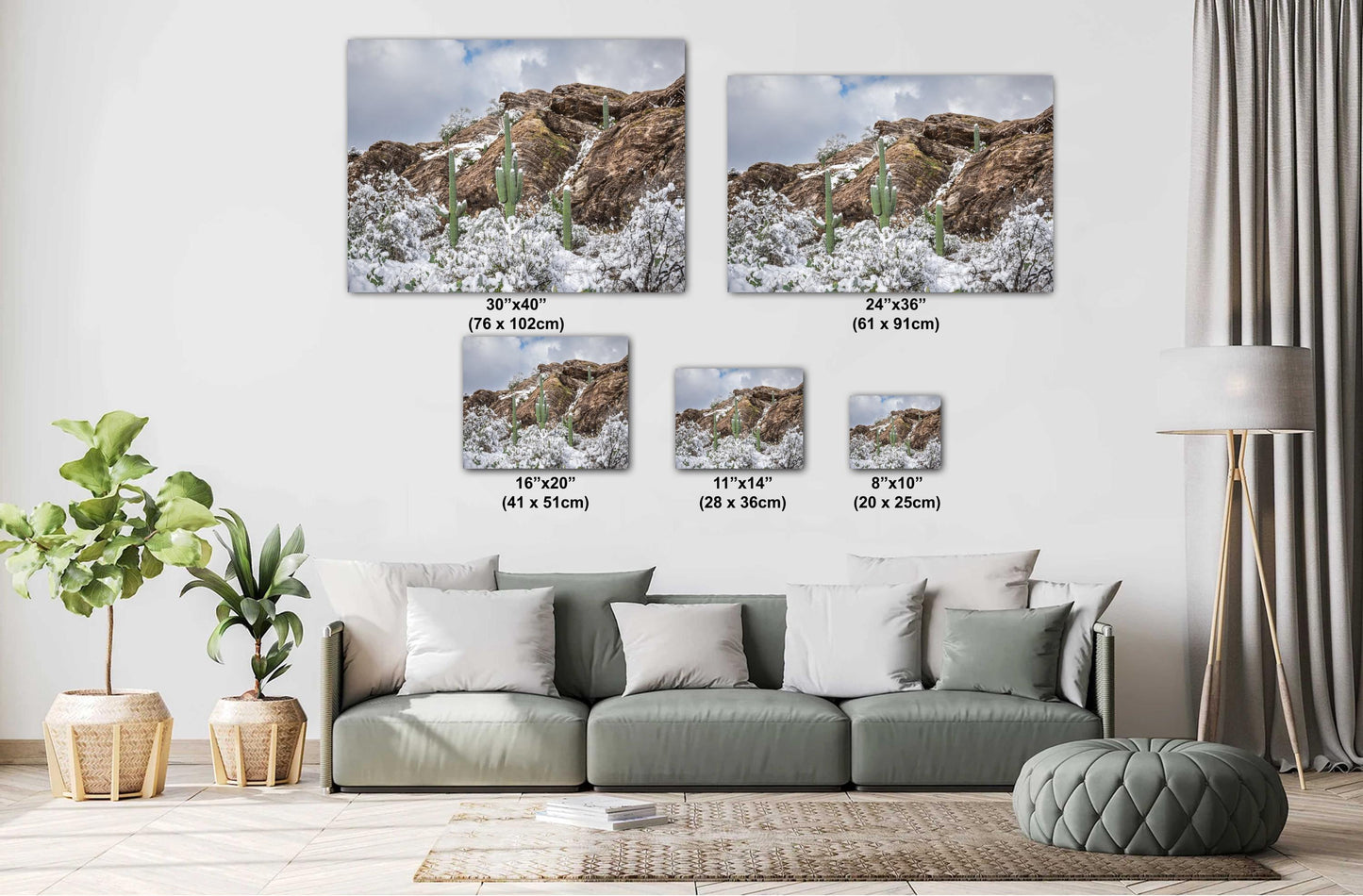 Winter’s Trio: Saguaros in Snow National Park Winter in Tucson Arizona Print Wall Art Photography Aluminum/Acrylic/Metal/Canvas