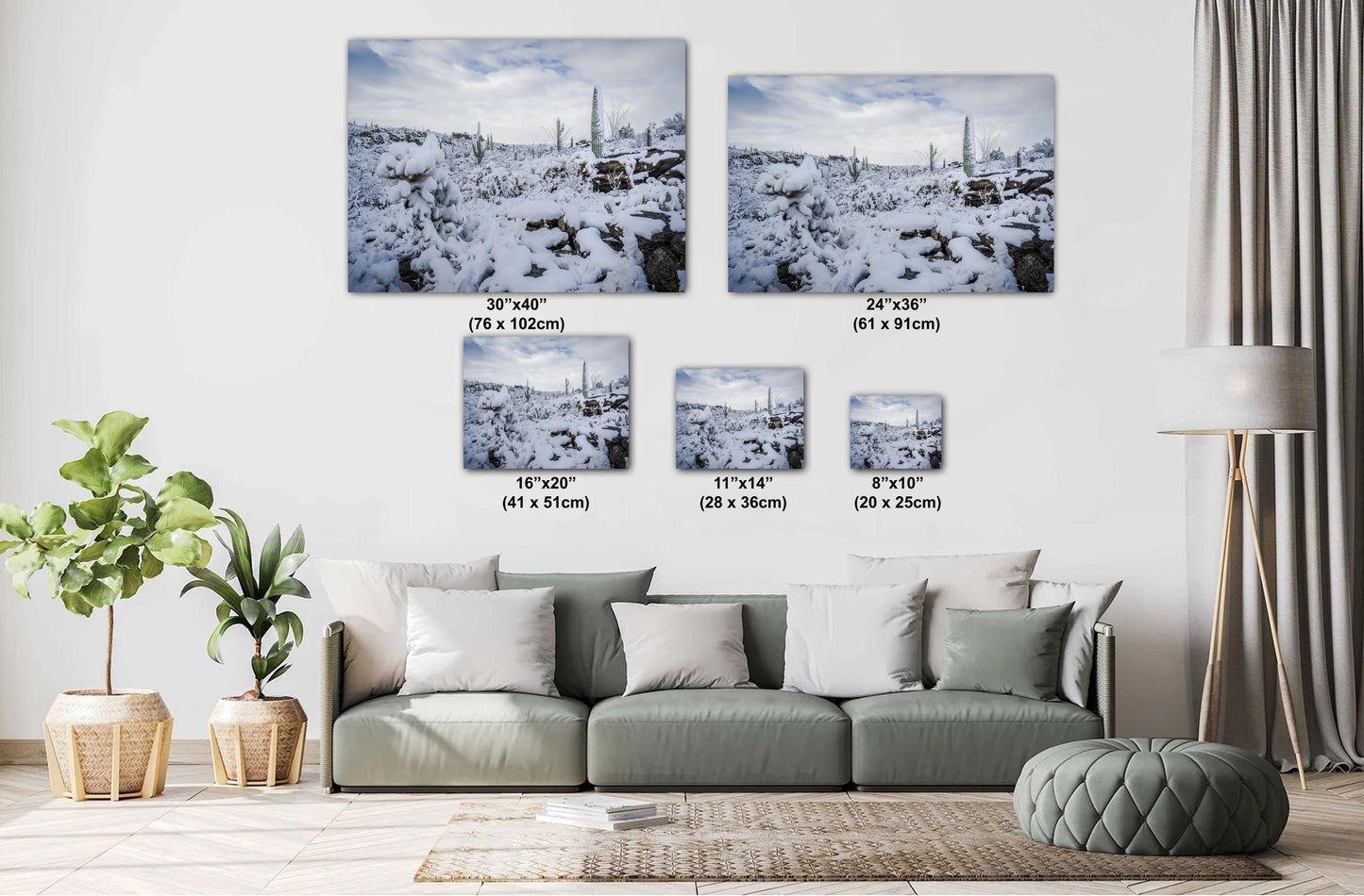 Cacti in the Cold: Snowfall at Saguaro National Park Park Print Wall Art Tucson Winter Snow Desert Photography Aluminum/Acrylic/Metal/Canvas