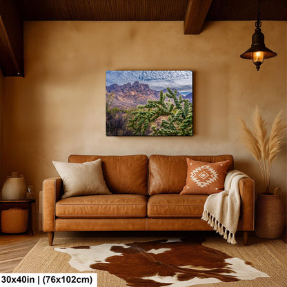 Cholla Cactus in Catalina State Park, Arizona, Photography Print, Sonoran Desert Mountain Landscape Wall Art