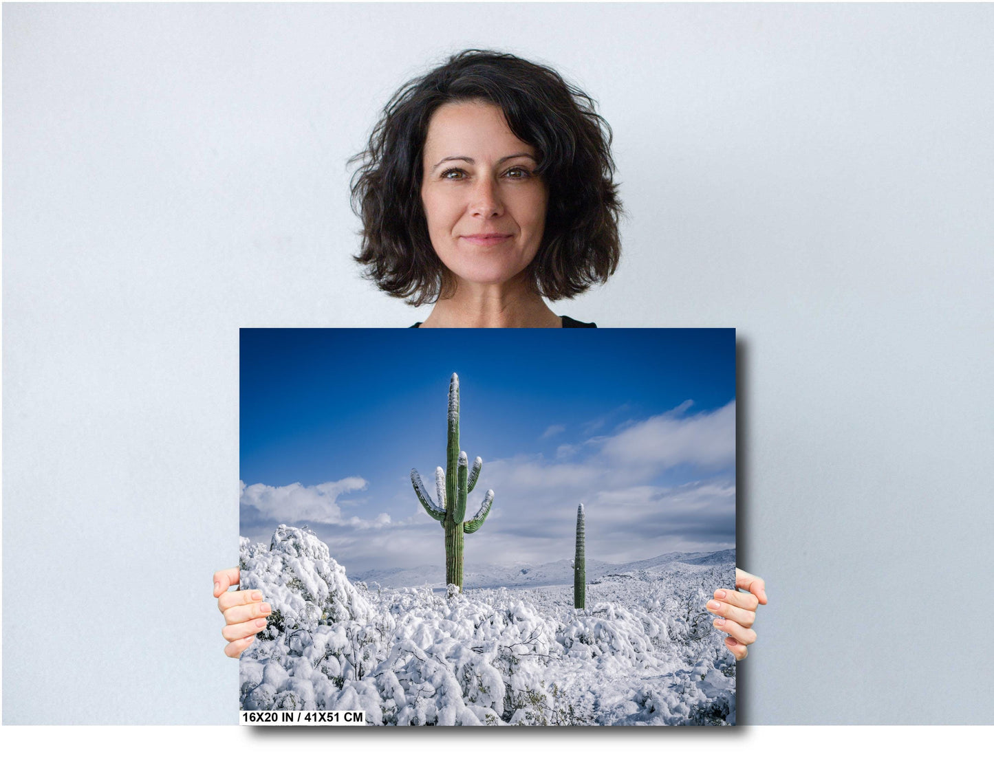 Snow-Crowned Cactus at the Saguaro National Park Tucson Arizona Print Wall Art Photography Aluminum/Acrylic/Metal/Canvas