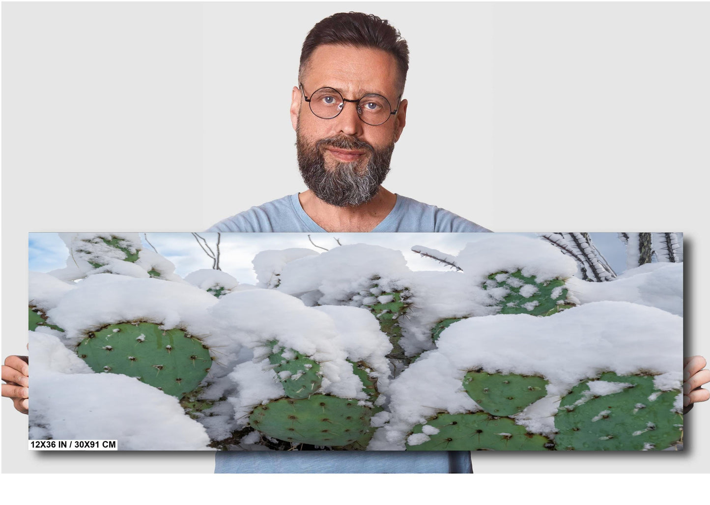 Snow-covered prickly pear cactus in Arizona desert, showcasing a rare and stunning winter scene.