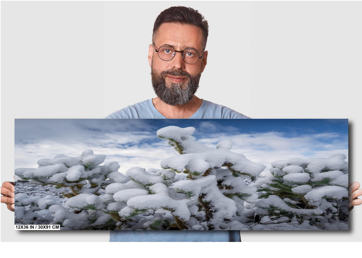 Snow Smothered Cactus Close-Up: Saguaro National Park Tucson Arizona Print Wall Art Photography Aluminum/Acrylic/Metal/Canvas