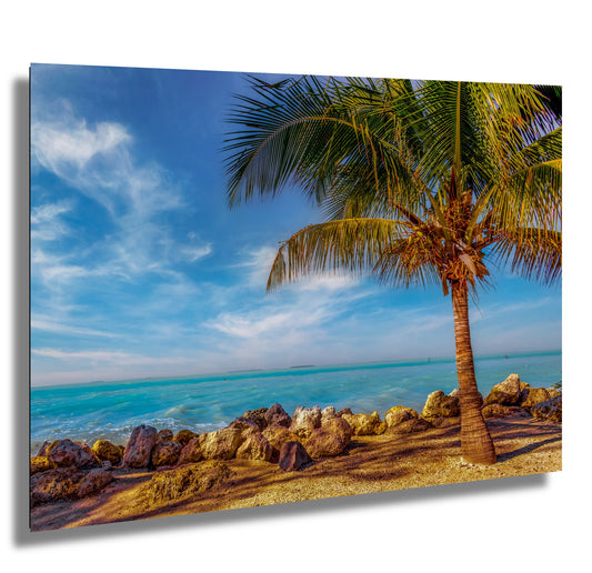 Key West Rocks: Solitary Palm and Ocean View Metal Aluminum Print Florida Seascape Wall Art Home Decor