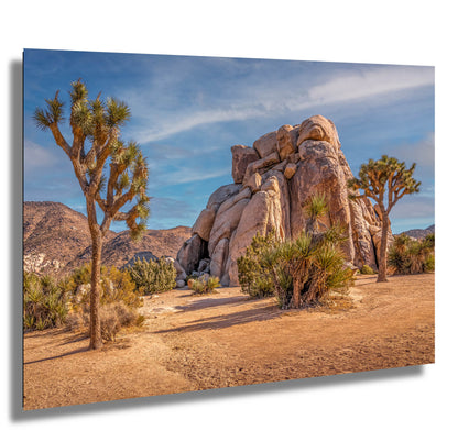 Joshua Tree Rock Art - California Desert Landscape Canvas Print | Premium Wall Decor