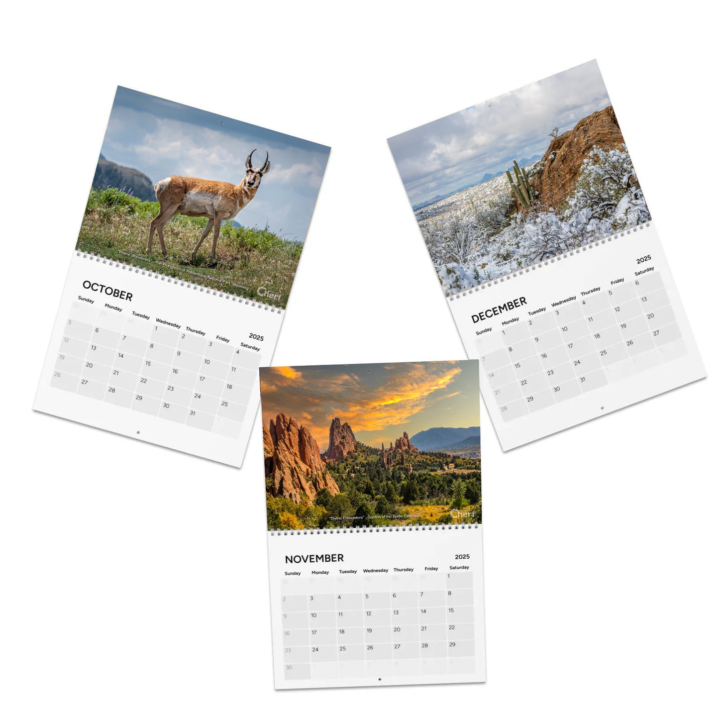 Images By Cheri - 2025 Calendar | Monthly Nature and Wildlife Photography