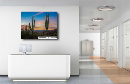 Gold Canyon Wonder: Saguaro Cactus Arizona Wall Art Metal Canvas Print  Desert Landscape Photography