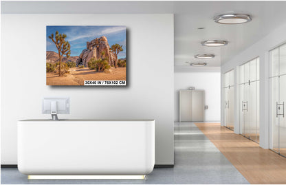 Joshua Tree Rock Art - California Desert Landscape Canvas Print | Premium Wall Decor