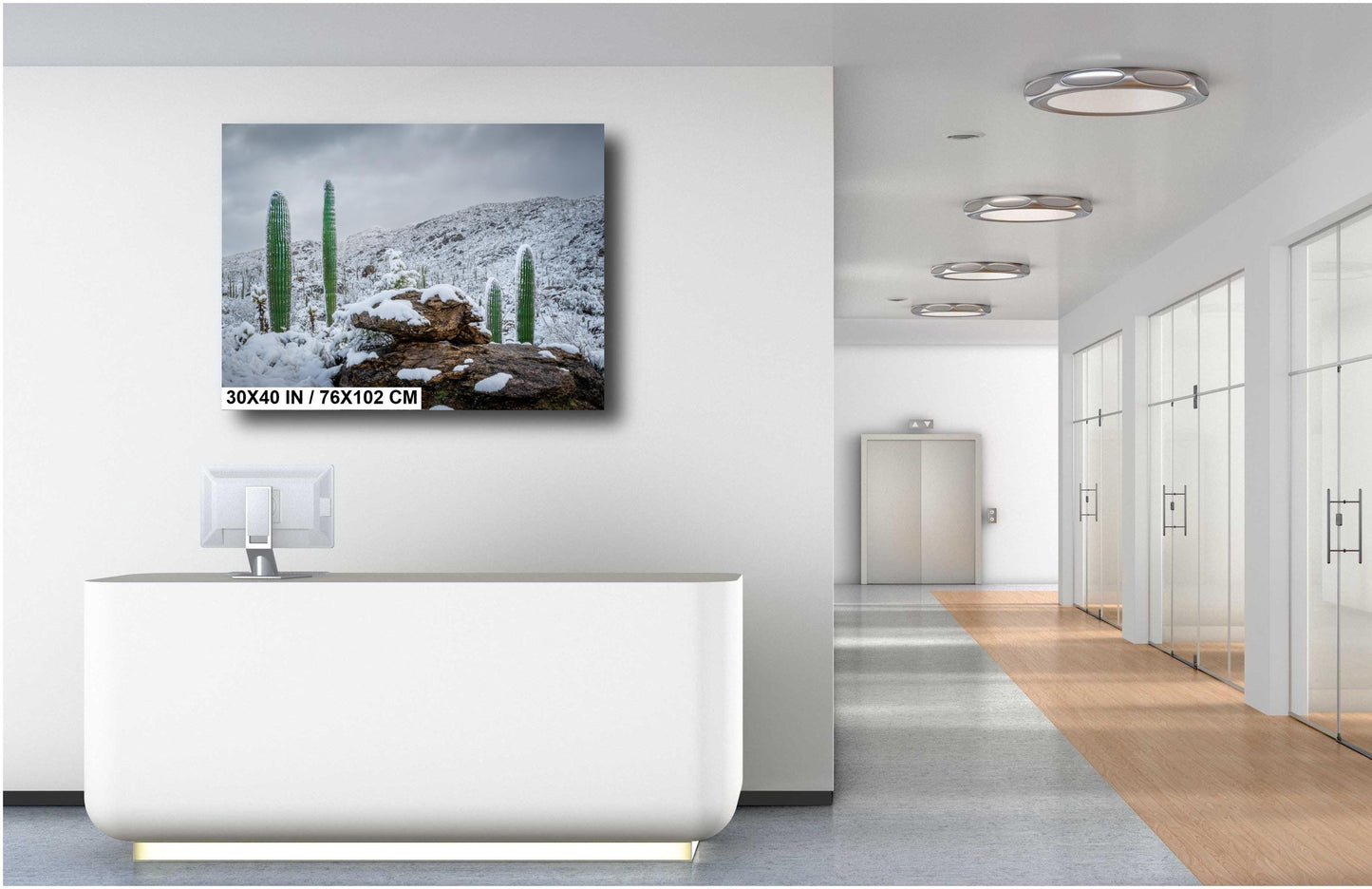 Snow-covered saguaro cacti in Saguaro National Park in Arizona surrounded by snowy desert hills and rocks.