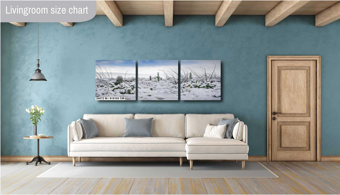 Snow-Tipped Peaks and Cactus Heights: Snow in Saguaro National Park Tucson Arizona Print Wall Art Photography Aluminum/Acrylic/Metal/Canvas