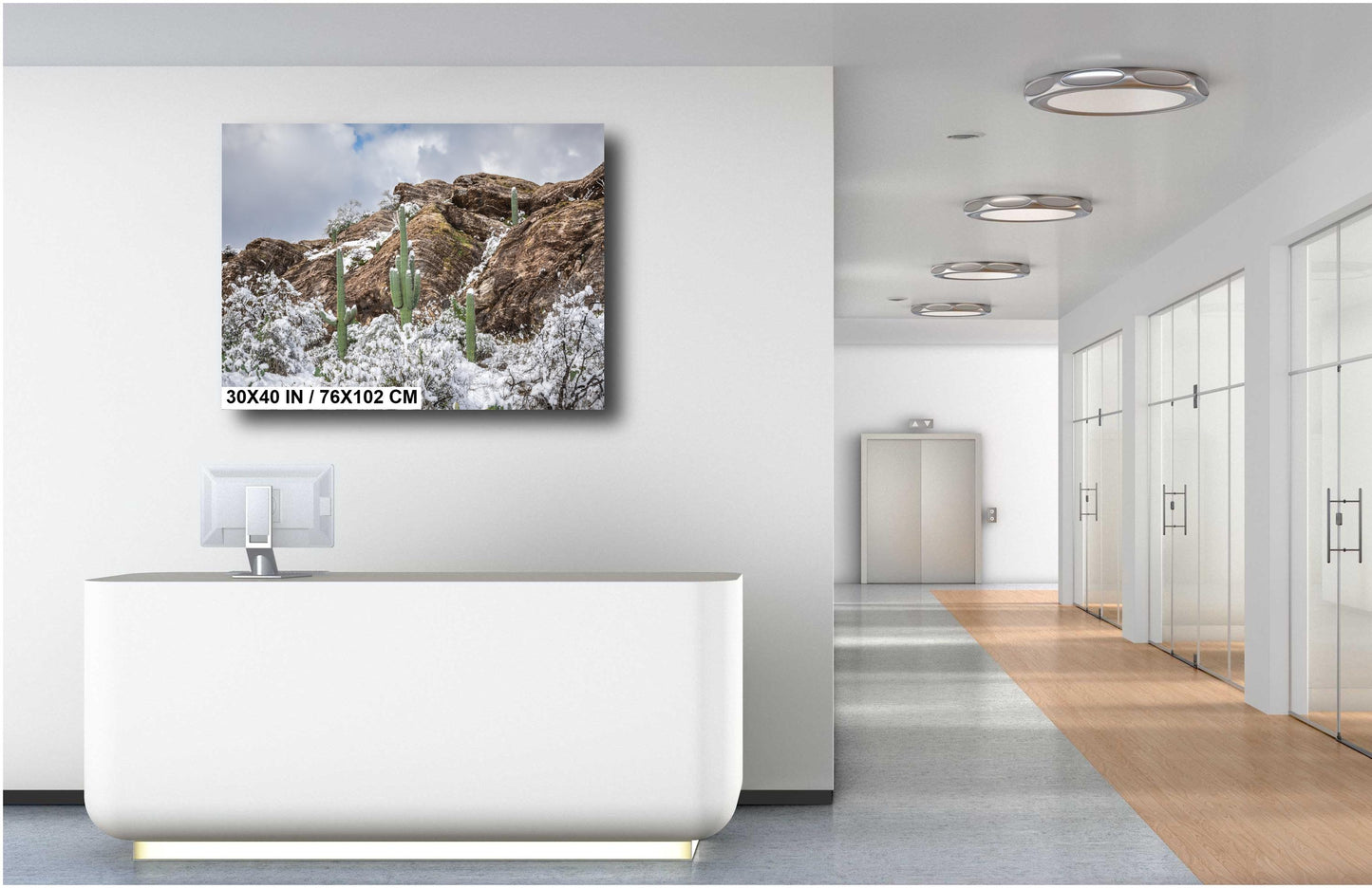 Winter’s Trio: Saguaros in Snow National Park Winter in Tucson Arizona Print Wall Art Photography Aluminum/Acrylic/Metal/Canvas