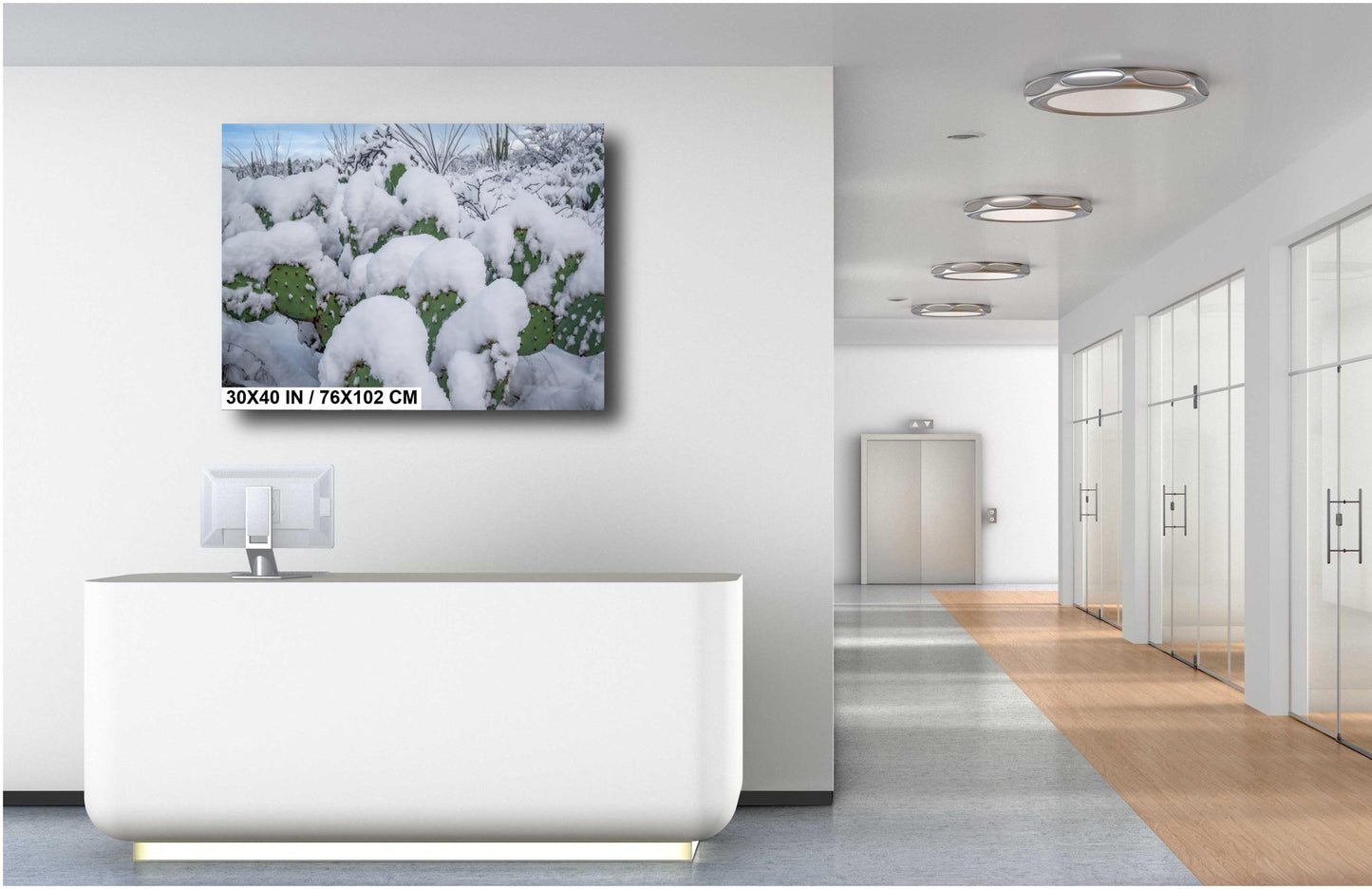 Snow-covered prickly pear cacti in Saguaro National Park, Arizona, showcasing rare desert winter beauty.