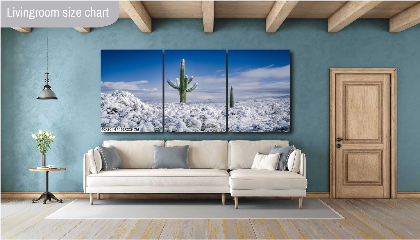 Snow-Crowned Cactus at the Saguaro National Park Tucson Arizona Print Wall Art Photography Aluminum/Acrylic/Metal/Canvas