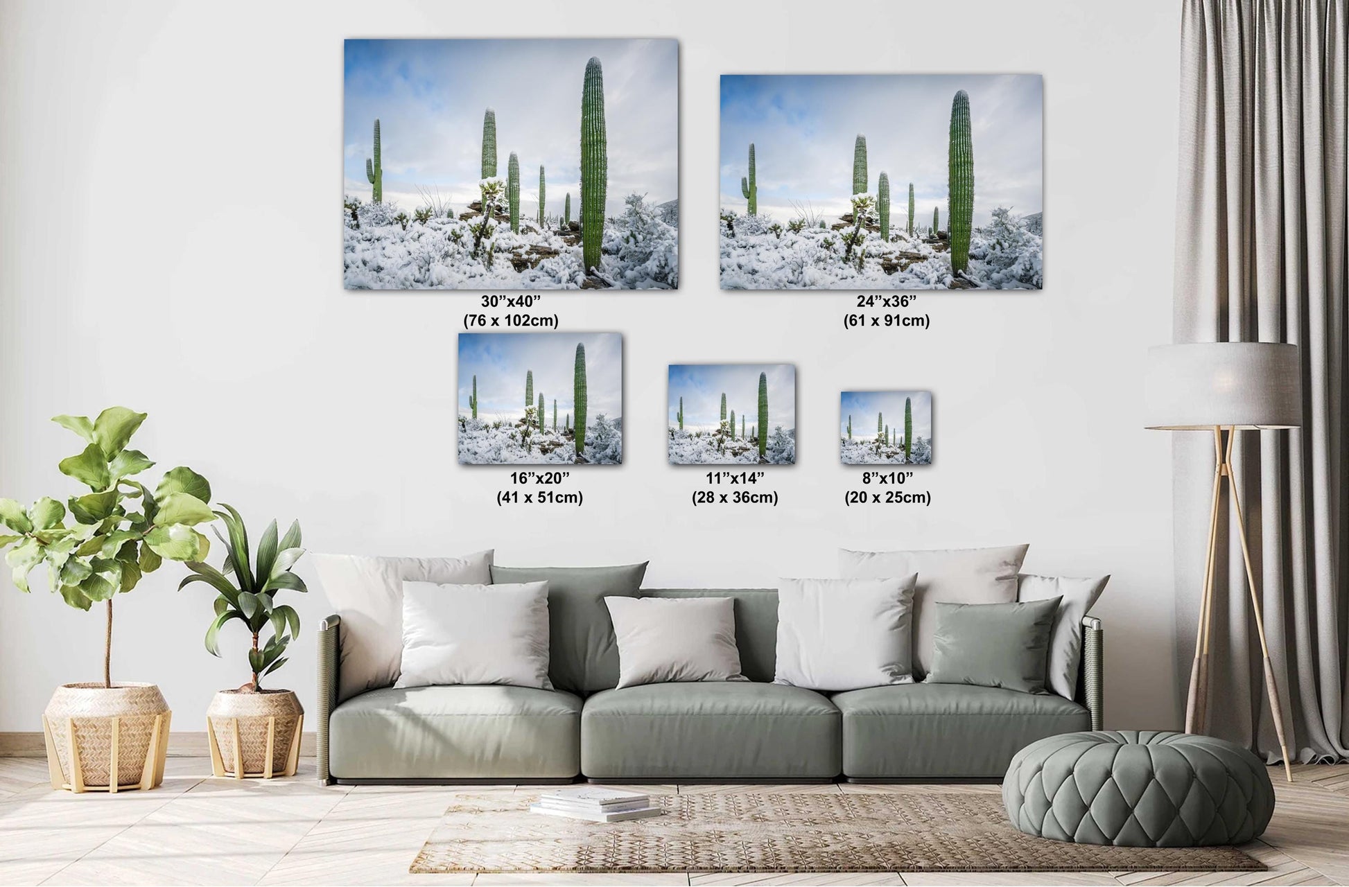 Snow-covered saguaro cacti in Arizona desert, showcasing a rare winter scene with fresh powdery snow.