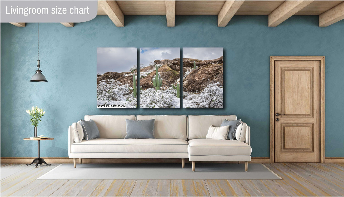 Winter’s Trio: Saguaros in Snow National Park Winter in Tucson Arizona Print Wall Art Photography Aluminum/Acrylic/Metal/Canvas