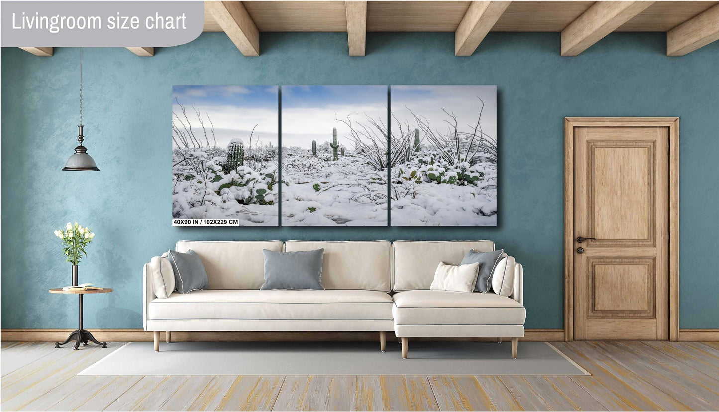 Snow-Tipped Peaks and Cactus Heights: Snow in Saguaro National Park Tucson Arizona Print Wall Art Photography Aluminum/Acrylic/Metal/Canvas