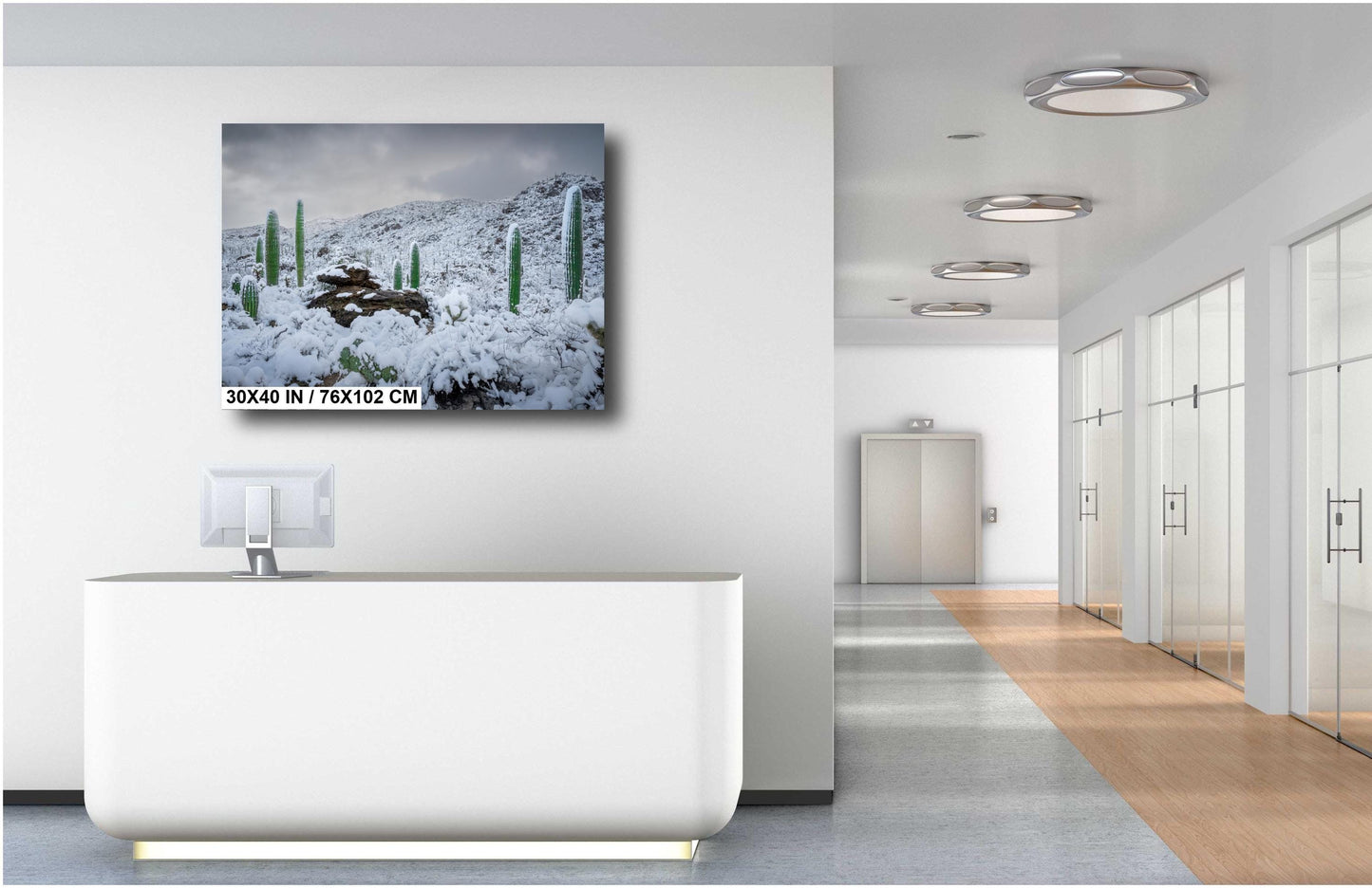 Snow-covered saguaro cacti in Arizona&#39;s desert, showcasing a rare winter scene with mountains in the background.