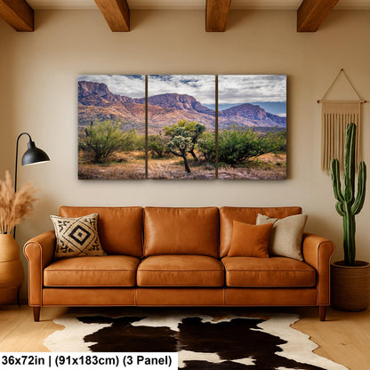 Arizona Desert Wall Art - Catalina Mountains Print | Sonoran Desert Landscape Photography