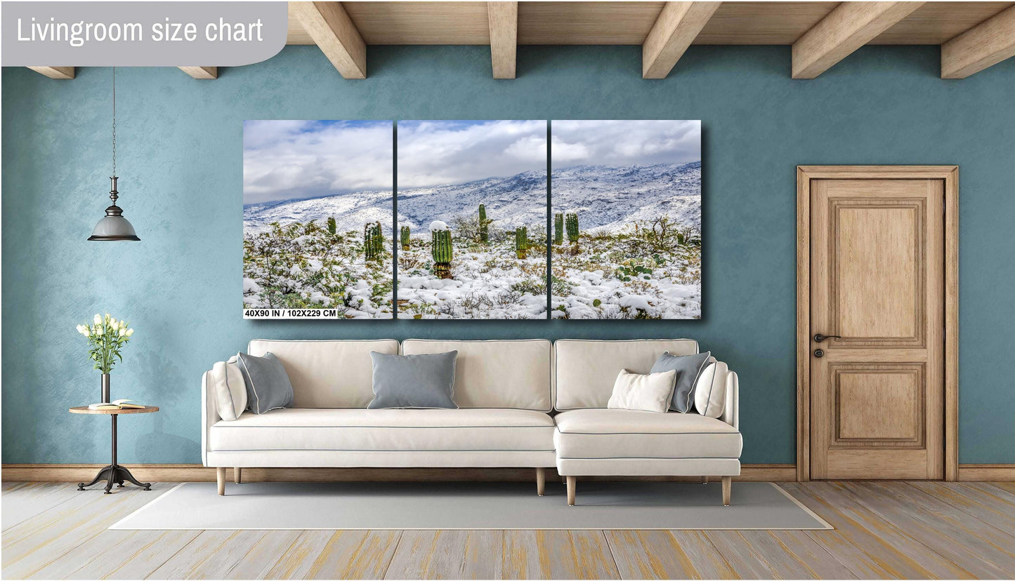 Saguaro Guardians of the Frosted Canyon: Saguaro National Park Print Wall Art Tucson Winter Snow Desert Aluminum/Acrylic/Metal/Canvas