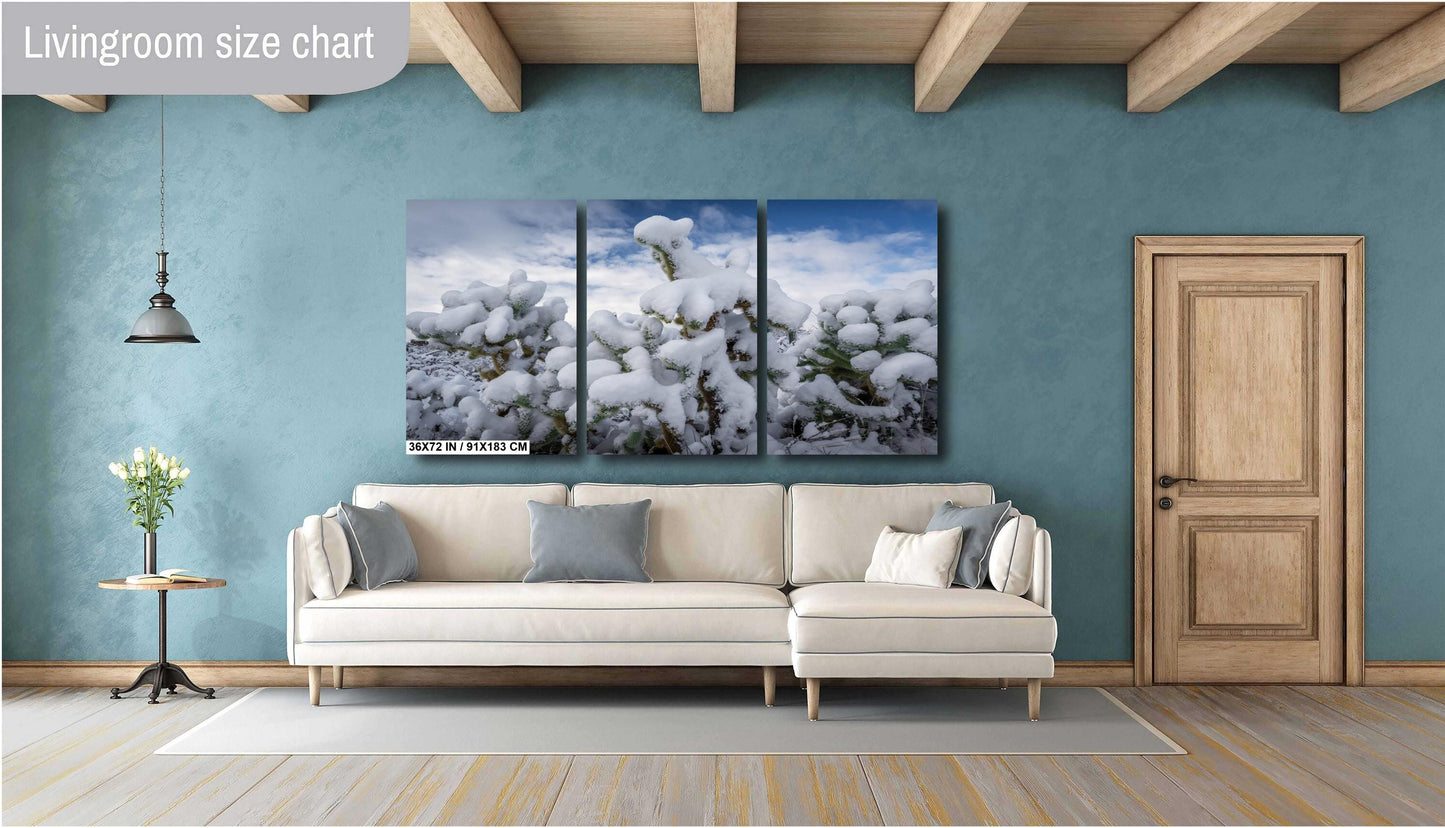 Snow Smothered Cactus Close-Up: Saguaro National Park Tucson Arizona Print Wall Art Photography Aluminum/Acrylic/Metal/Canvas