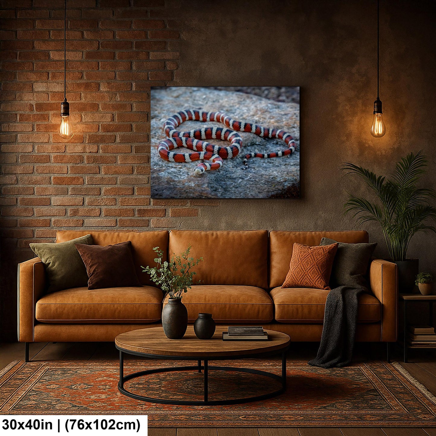 Arizona Mountain Kingsnake Print – Vibrant Desert Wildlife Art Canvas