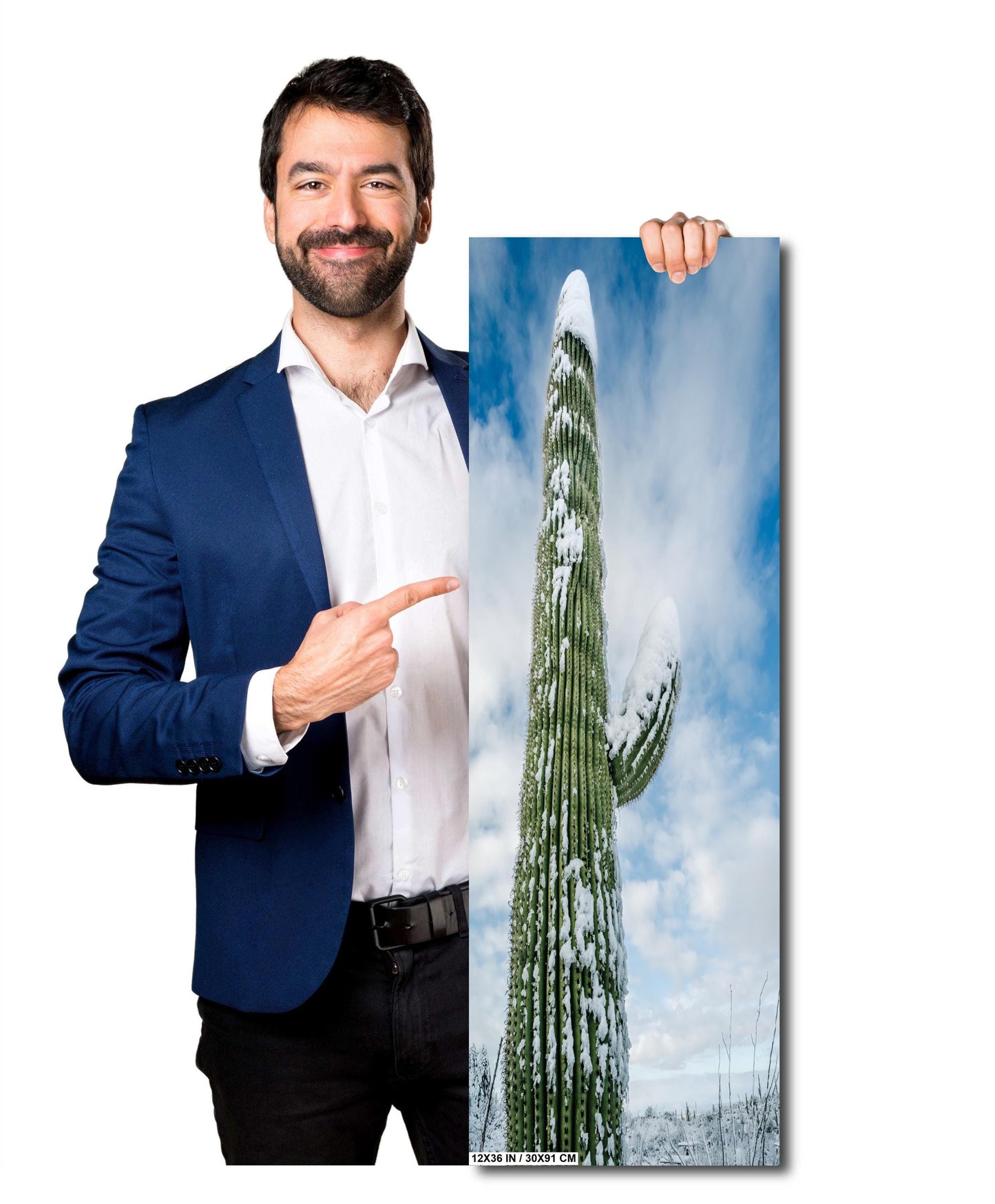 A tall saguaro cactus covered in snow under a cloudy sky, capturing the rare beauty of winter in the desert. Printed on high-quality canvas, this stunning piece highlights the contrast of desert flora in a snowy environment.