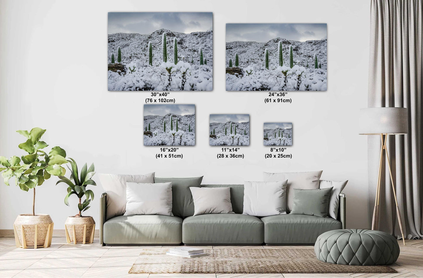 A Frosty Transformation in Saguaro National Park Print Wall Art Tucson Winter Snow Desert Photography Aluminum/Acrylic/Metal/Canvas